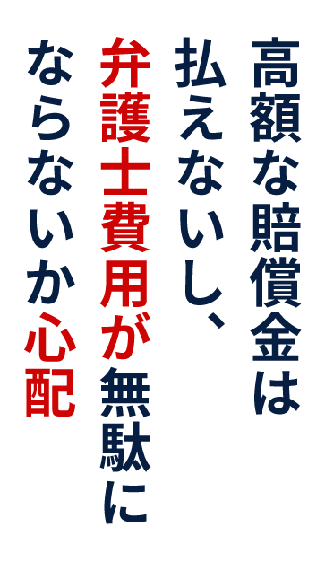 高額な賠償金は払えないし、弁護士費用が無駄にならないか心配